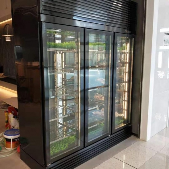 Três porta de vidro preto de aço inoxidável carne de exibição de gabinete 