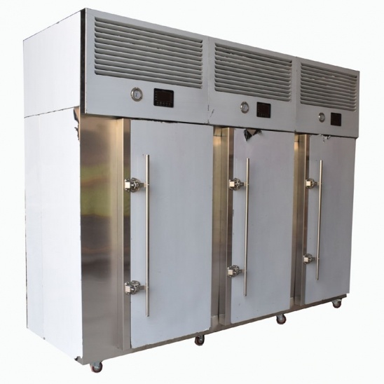 Venda direta de Menos 40 graus de aço inoxidável, carrinho de três porta blast freezer 