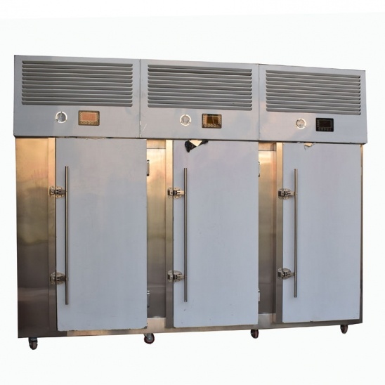 Venda direta de Menos 40 graus de aço inoxidável, carrinho de três porta blast freezer 
