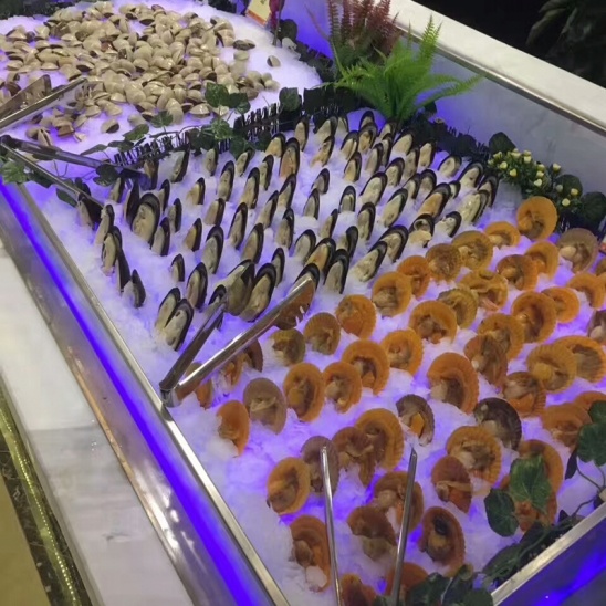 Direto da fábrica preto de aço inoxidável abrir frutos do mar de gelo apresentar refrigerados tabela 