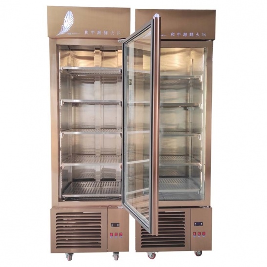 freezer com visor de carne e frutos do mar em ouro rosa de porta única personalizado 
