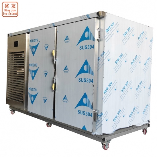 freezer rápido de baixa temperatura de porta dupla horizontal dedicado personalizado 